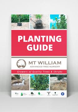 Mt William Planting Guide A5 mockup